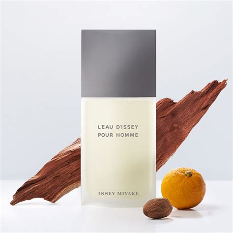 l'eau d'issey pour homme edt|More.